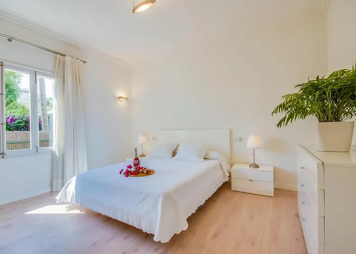 Ideal Mallorca - Llenaire *