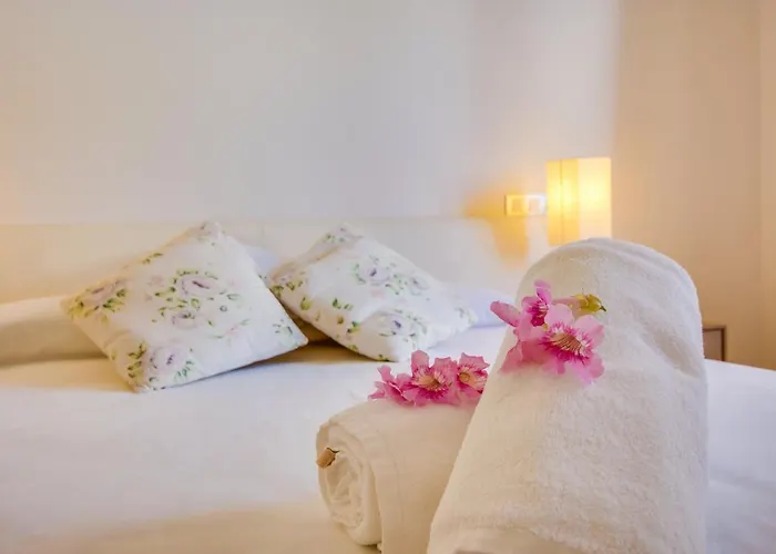 Ideal Mallorca - Llenaire פורט דה פולנסה